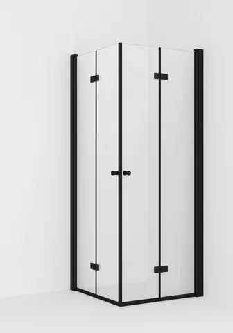 Dusjhj&#248;rne leddet LIAM 100x100 100x100x195cm sort matt/klar